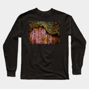 Revealing Long Sleeve T-Shirt